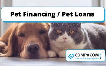 Get the necessary financing to buy or take care of your pet. Pet loans, Vet loans are available online.